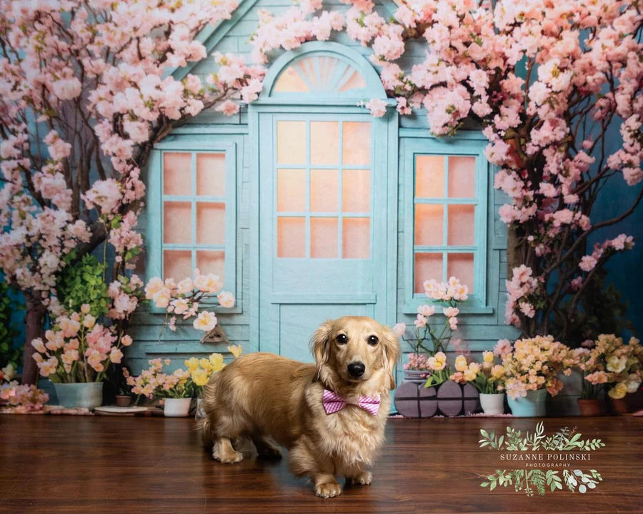 Kate Frühling Ostern Blumen Haus Hintergrund von Emetselch - Kate Backdrop.de
