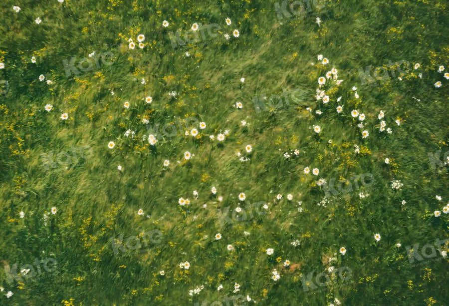 Kate Frühling Gras Weiße Blume Boden Hintergrund von Kate - Kate Backdrop.de