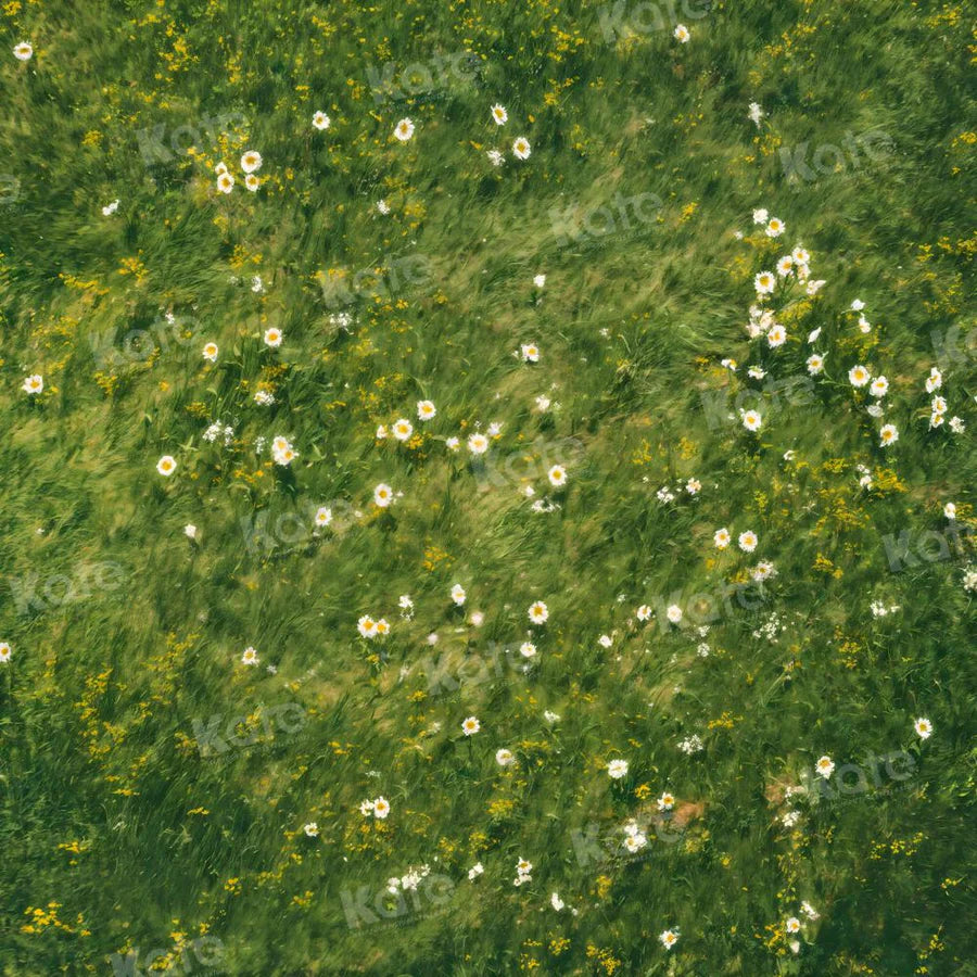 Kate Frühling Gras Weiße Blume Boden Hintergrund von Kate - Kate Backdrop.de