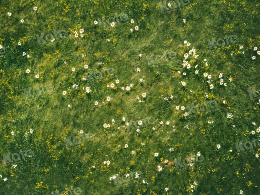 Kate Frühling Gras Weiße Blume Boden Hintergrund von Kate - Kate Backdrop.de