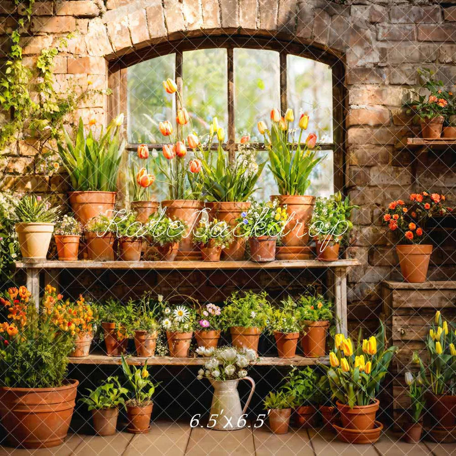 Kate Frühling Grün Pflanze Fenster Zimmer Hintergrund von Emetselch - Kate Backdrop.de