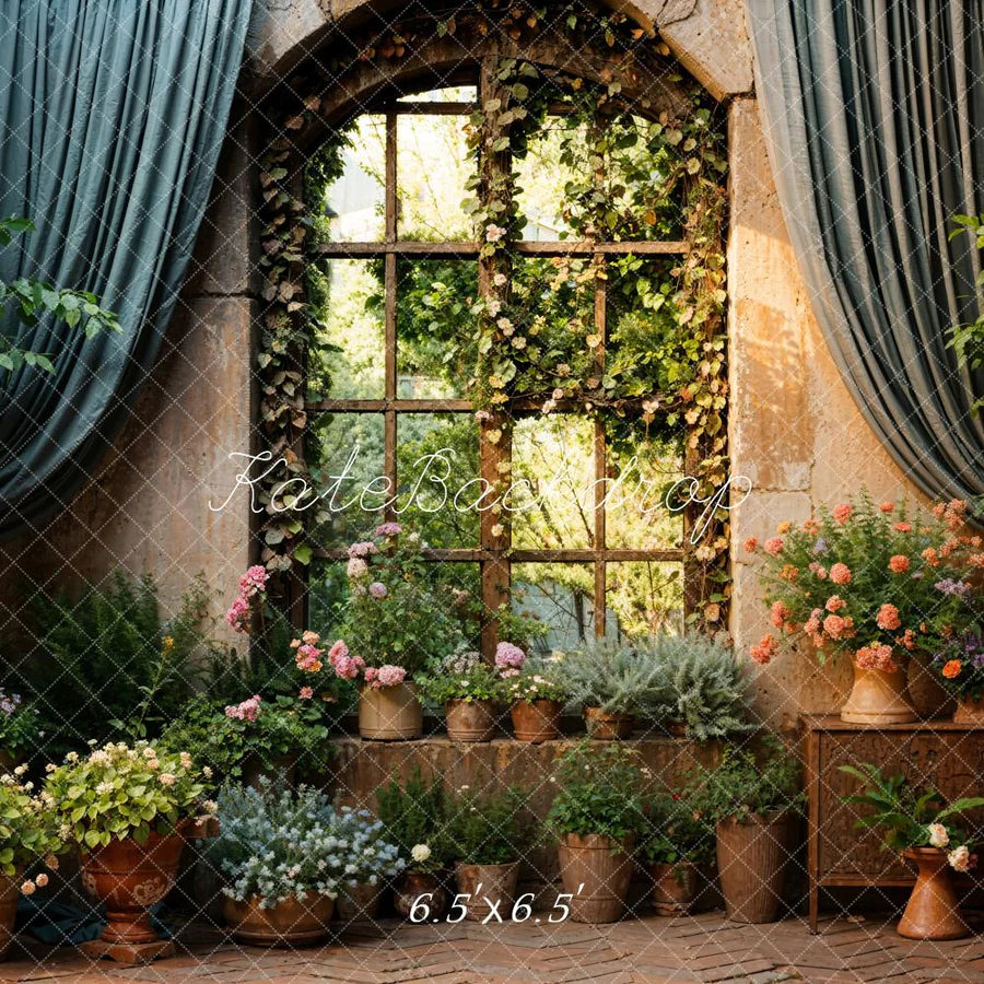 Kate Frühling Grüne Pflanzen Vorhang Fenster Hintergrund von Chain Photography