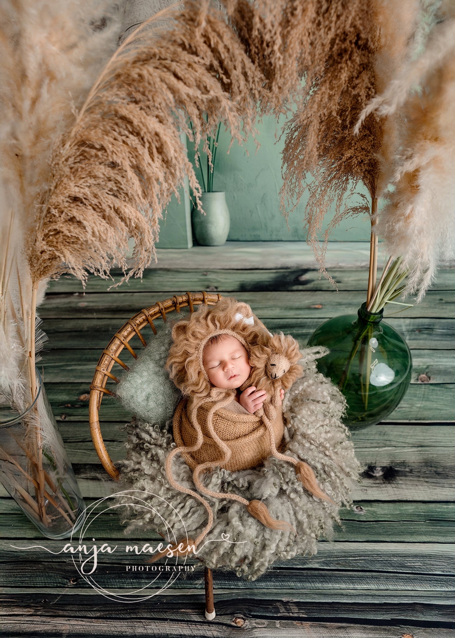 Kate Retro Boho Grüne Bogenwand Hintergrund Entworfen von Patty Robert - Kate Backdrop.de