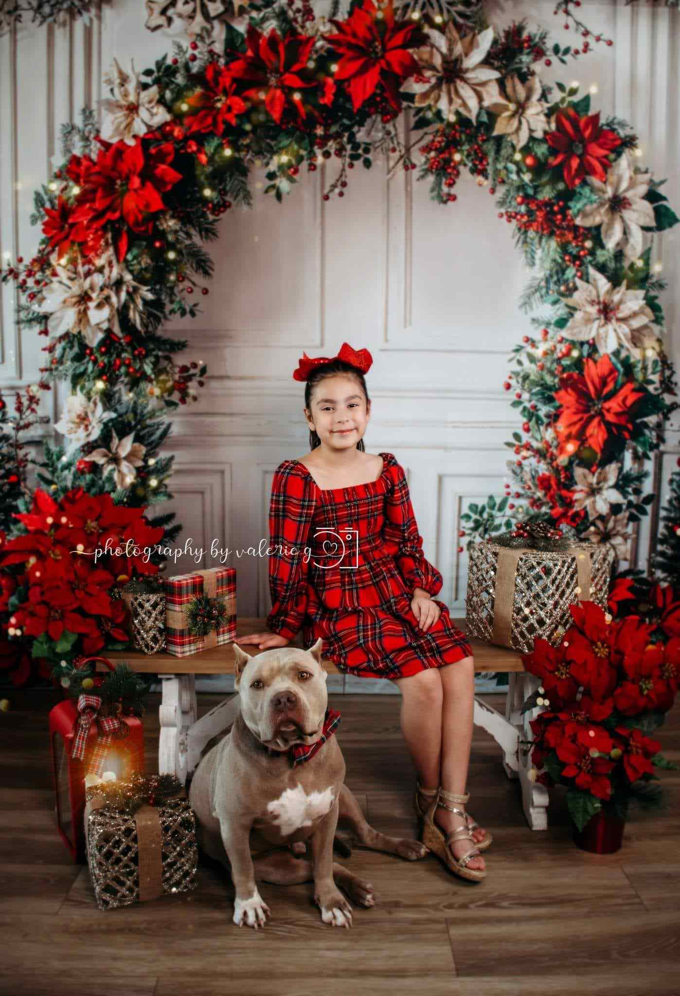 ⚡Blitzangebote #2-Kate Weihnachten Bunter Blumenbogen Weiße Retro Wand Hintergrund - Kate Backdrop.de
