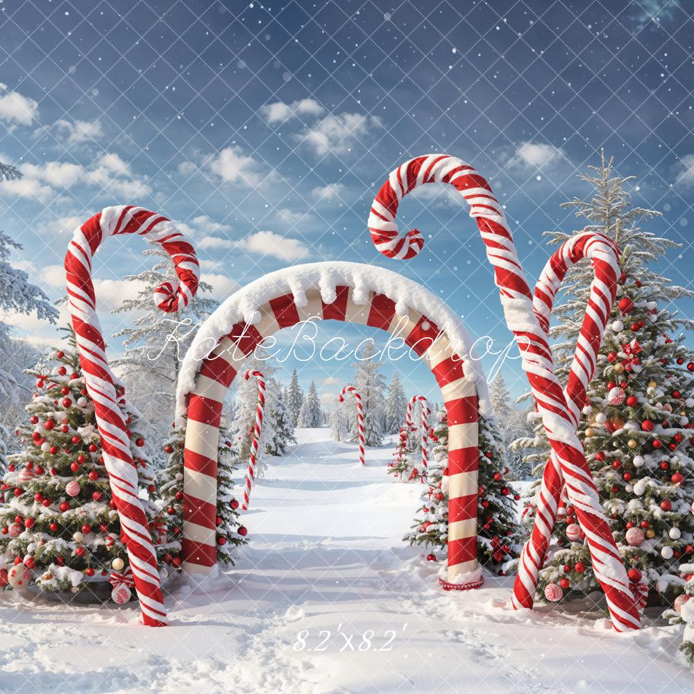 Kate Winter Weihnachten Outdoor Wald Schnee Candy Bogen Hintergrund entworfen von Chain Photography - Kate Backdrop.de