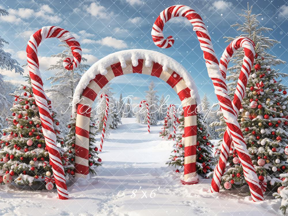 Kate Winter Weihnachten Outdoor Wald Schnee Candy Bogen Hintergrund entworfen von Chain Photography - Kate Backdrop.de