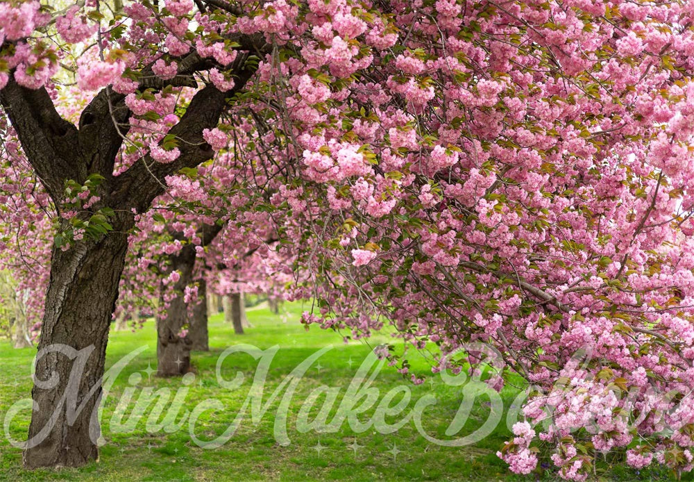 Kate Sommer Outdoor Rosa Kirschblütenbaum Grüne Wiese Hintergrund entworfen von Mini MakeBelieve - Kate Backdrop.de