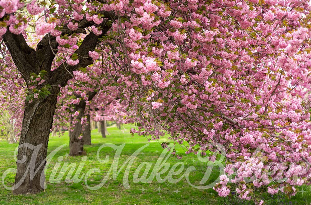 Kate Sommer Outdoor Rosa Kirschblütenbaum Grüne Wiese Hintergrund entworfen von Mini MakeBelieve - Kate Backdrop.de