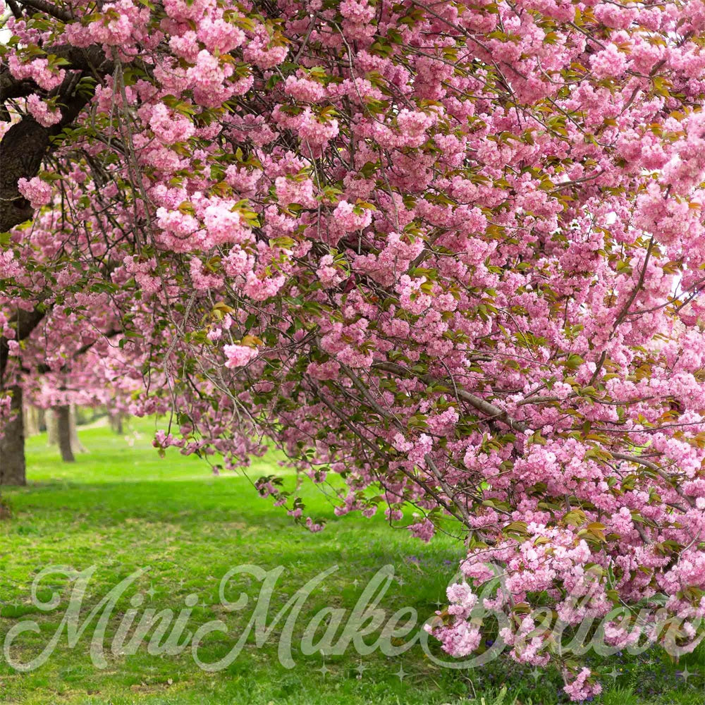 Kate Sommer Outdoor Rosa Kirschblütenbaum Grüne Wiese Hintergrund entworfen von Mini MakeBelieve - Kate Backdrop.de