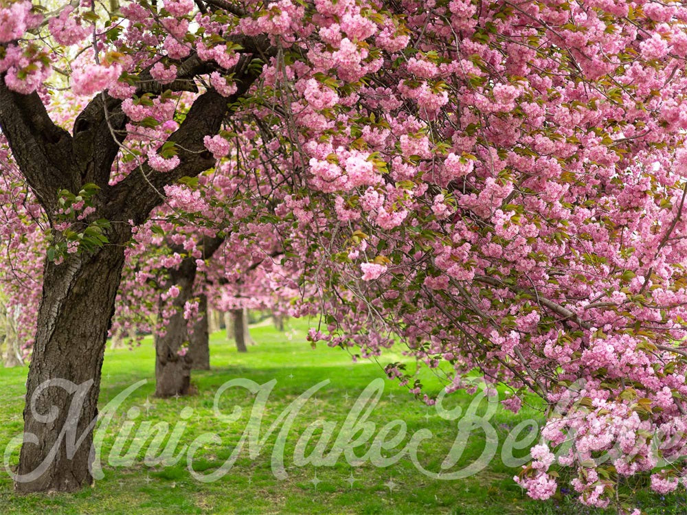 Kate Sommer Outdoor Rosa Kirschblütenbaum Grüne Wiese Hintergrund entworfen von Mini MakeBelieve - Kate Backdrop.de