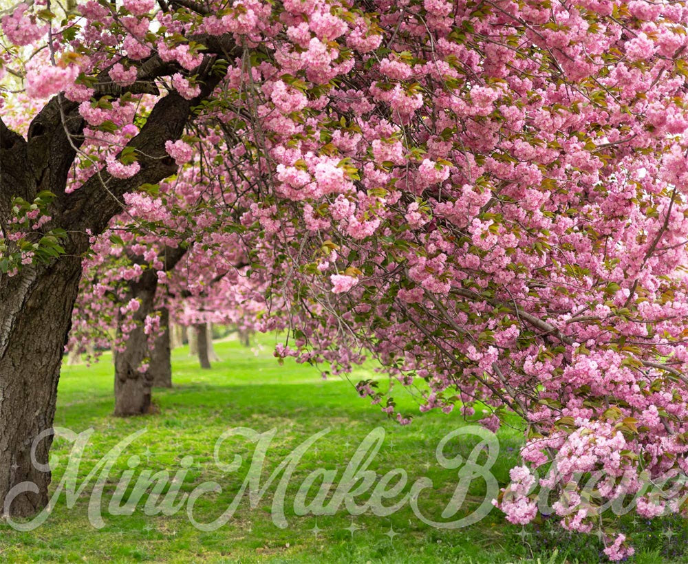 Kate Sommer Outdoor Rosa Kirschblütenbaum Grüne Wiese Hintergrund entworfen von Mini MakeBelieve - Kate Backdrop.de