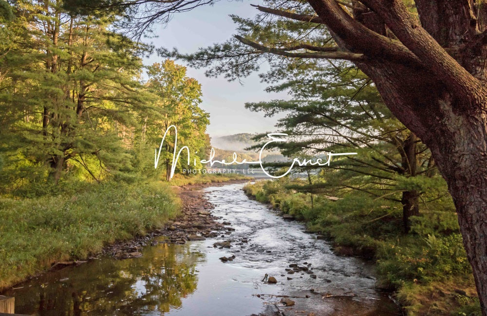 Kate Sommer Outdoor Wald See Wiese Berg Hintergrund entworfen von Michele Ernst Photography - Kate Backdrop.de