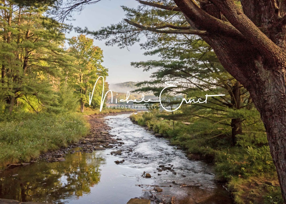 Kate Sommer Outdoor Wald See Wiese Berg Hintergrund entworfen von Michele Ernst Photography - Kate Backdrop.de