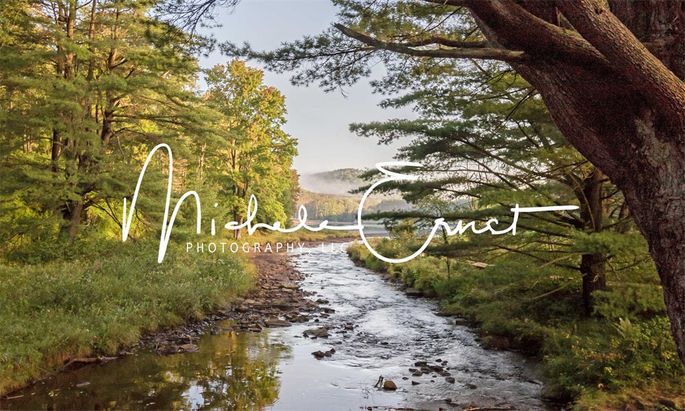 Kate Sommer Outdoor Wald See Wiese Berg Hintergrund entworfen von Michele Ernst Photography - Kate Backdrop.de