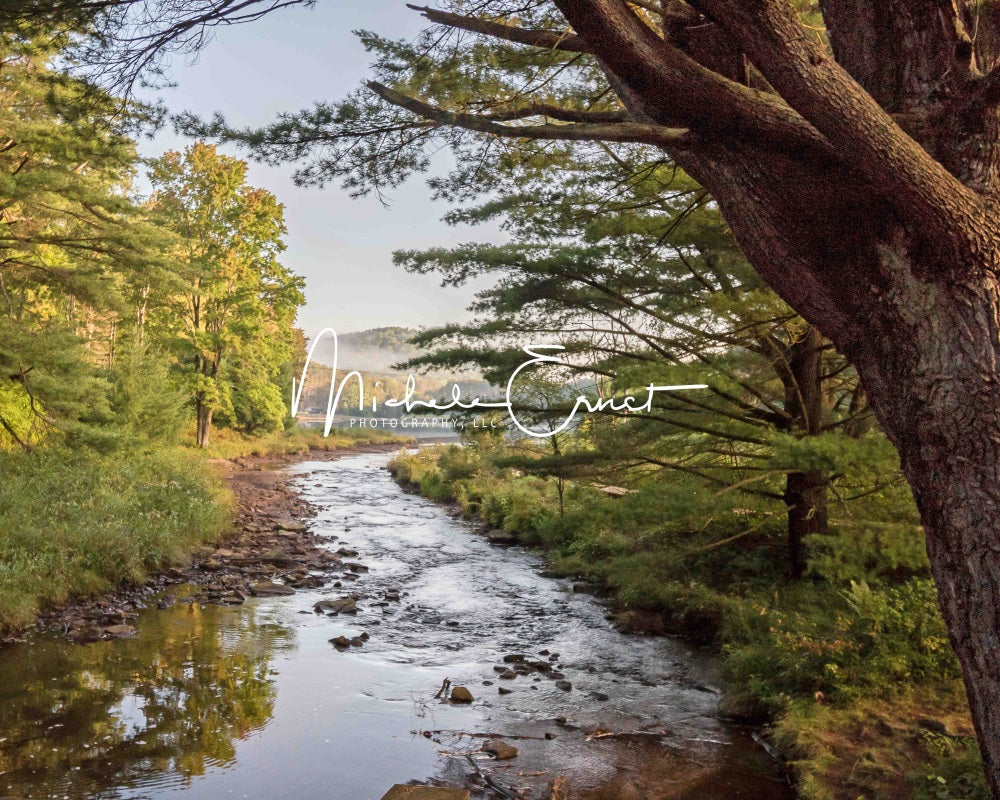 Kate Sommer Outdoor Wald See Wiese Berg Hintergrund entworfen von Michele Ernst Photography - Kate Backdrop.de