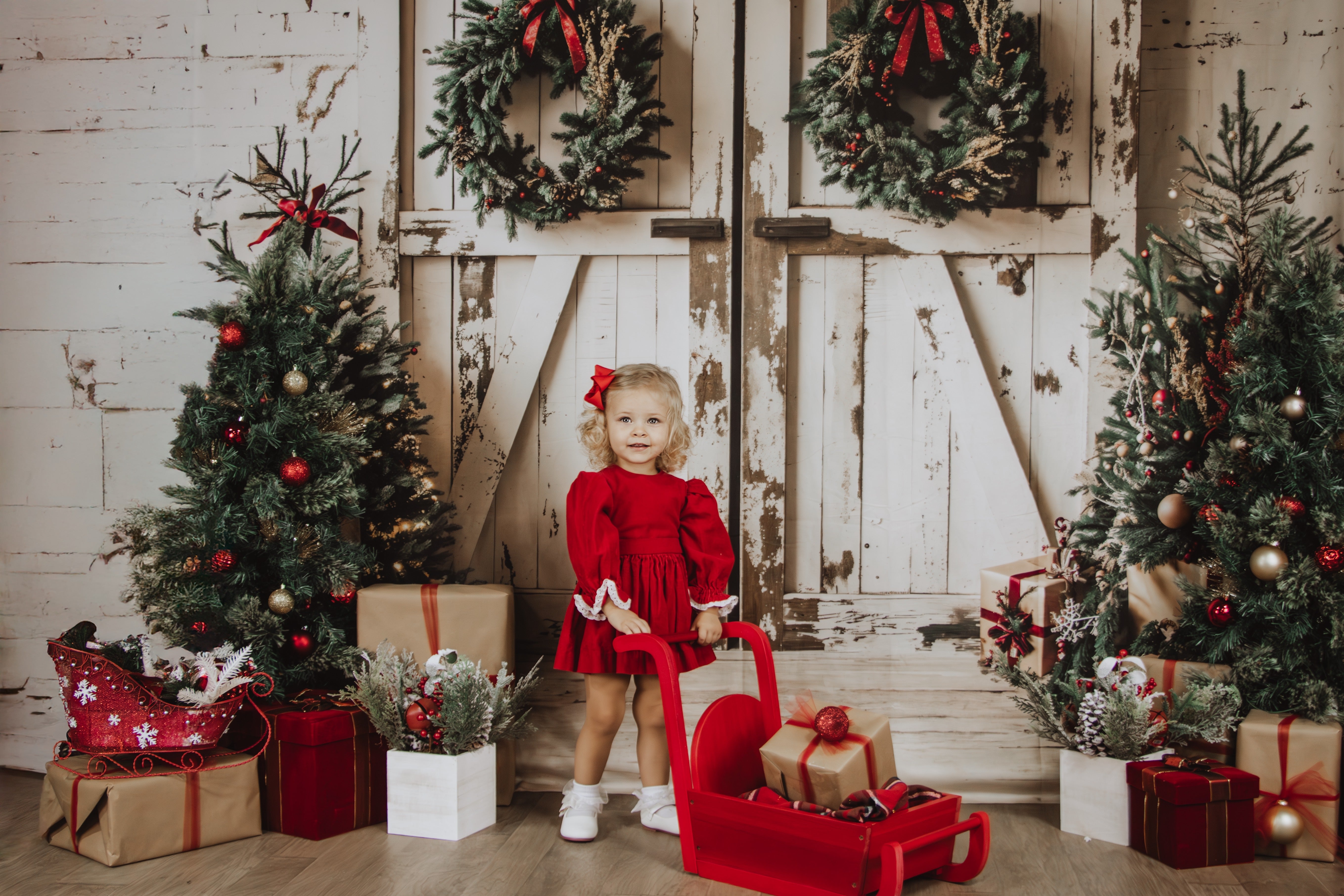Kate Weihnachten Weiß Shabby Scheune Tür Hintergrund entworfen von Emetselch - Kate Backdrop.de