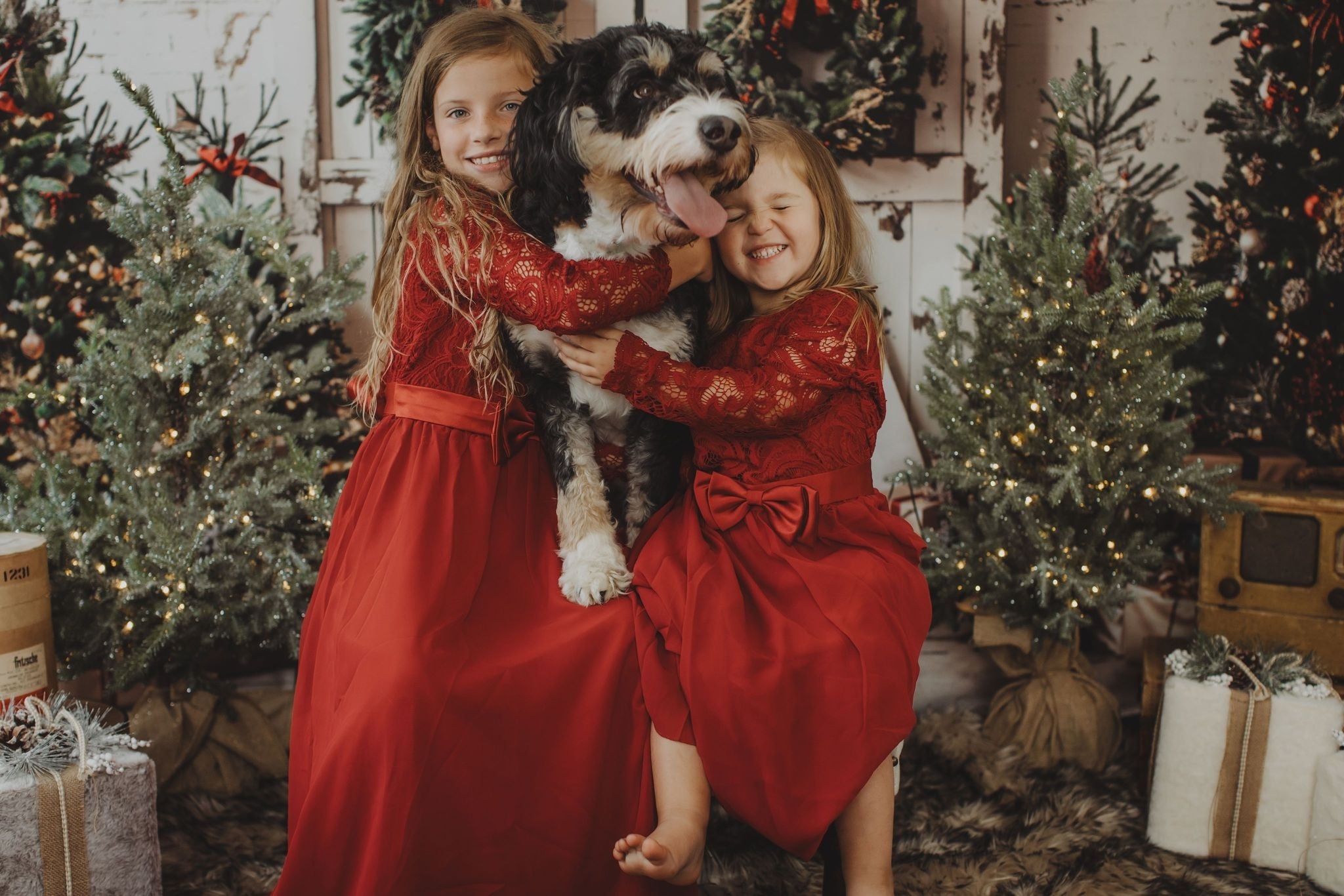 Kate Weihnachten Weiß Shabby Scheune Tür Hintergrund entworfen von Emetselch - Kate Backdrop.de