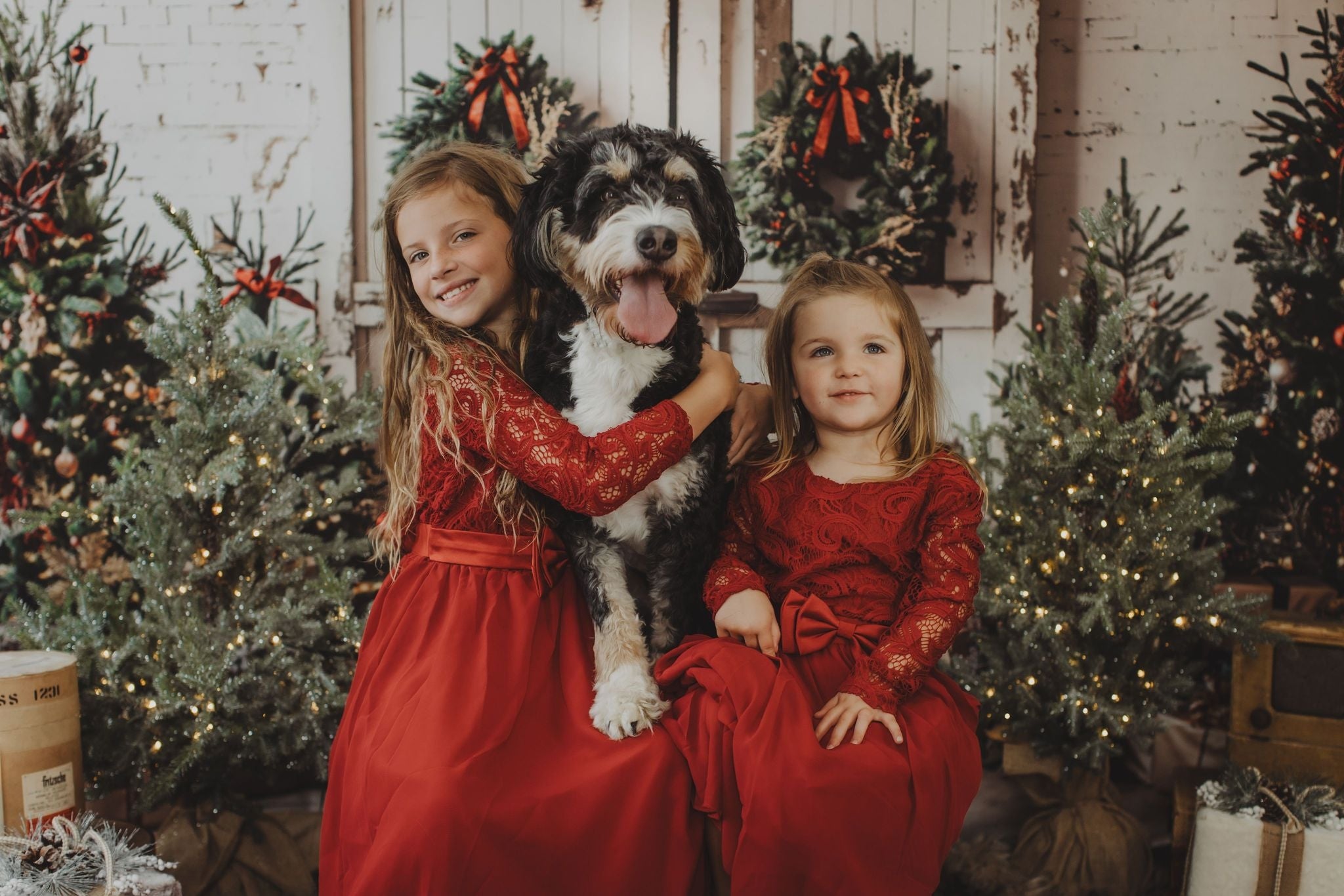 Kate Weihnachten Weiß Shabby Scheune Tür Hintergrund entworfen von Emetselch - Kate Backdrop.de