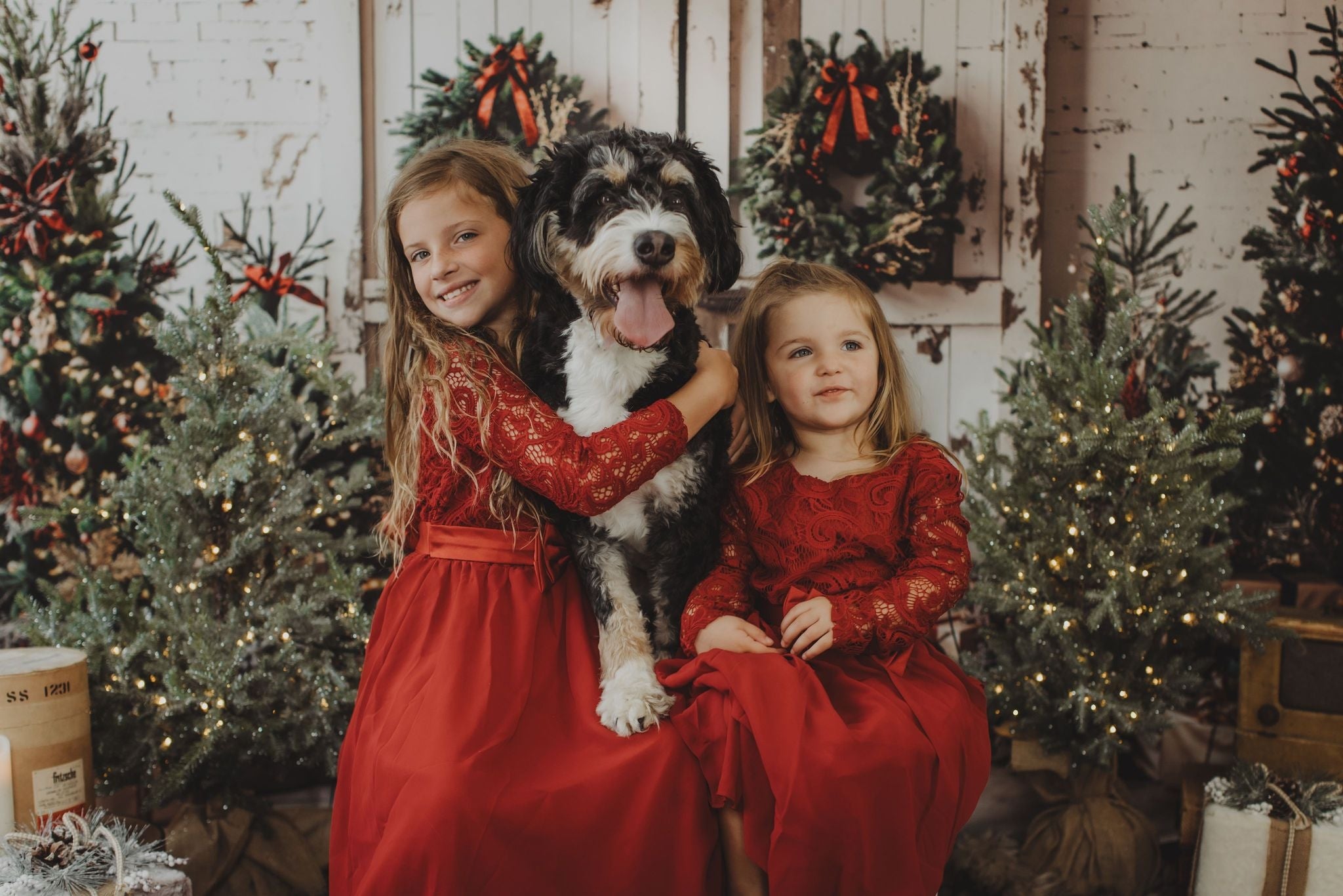 Kate Weihnachten Weiß Shabby Scheune Tür Hintergrund entworfen von Emetselch - Kate Backdrop.de