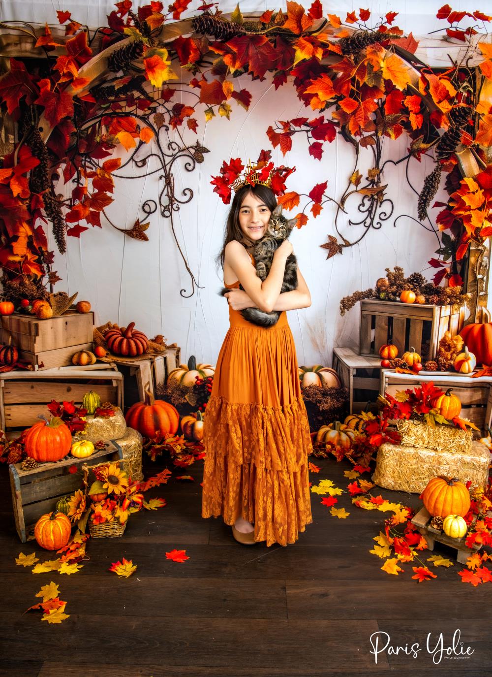 50%OFF-Kate Herbst Kürbis Ahornblatt Holzbogen Hintergrund Entworfen von Patty Robert - Kate Backdrop.de