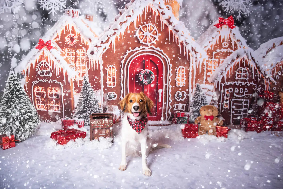 ⚡Blitzangebote #1-Kate Weihnachten Pfefferkuchenhäuser Schneeig Hintergrund + Winter-Schneeboden Hintergrund für Fotografie - Kate Backdrop.de