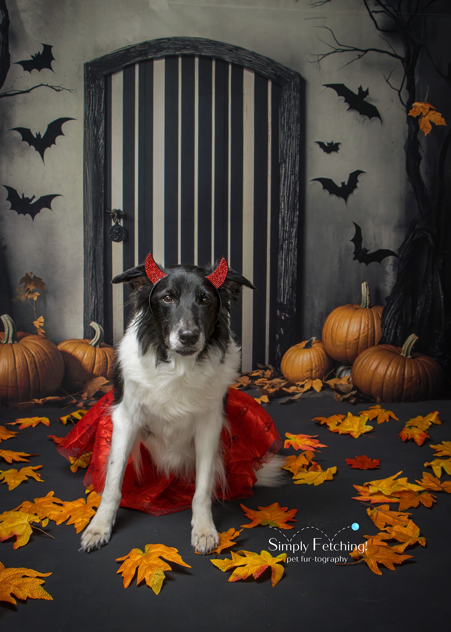 Kate Halloween Tür Kürbisse Fledermäuse Hintergrund Entworfen von Emetselch