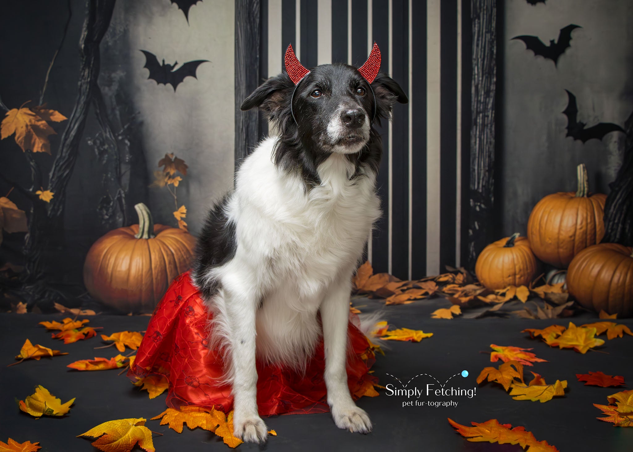 Kate Halloween Tür Kürbisse Fledermäuse Hintergrund Entworfen von Emetselch