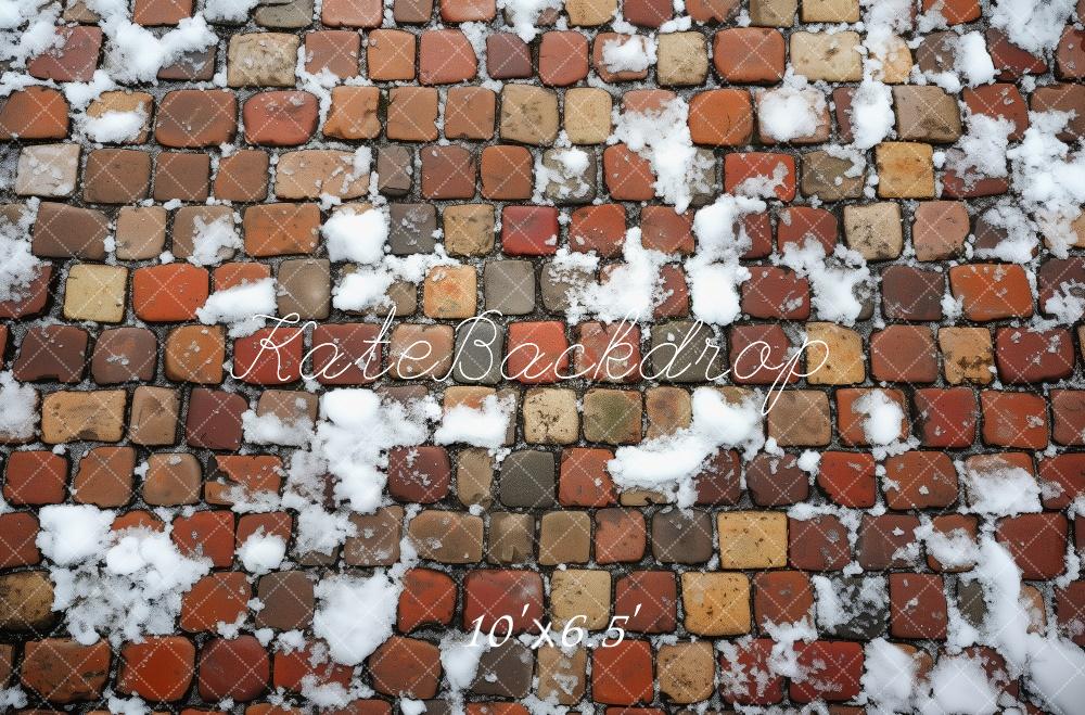 Kate Winter Stein Schnee Boden Hintergrund von Patty Roberts - Kate Backdrop.de