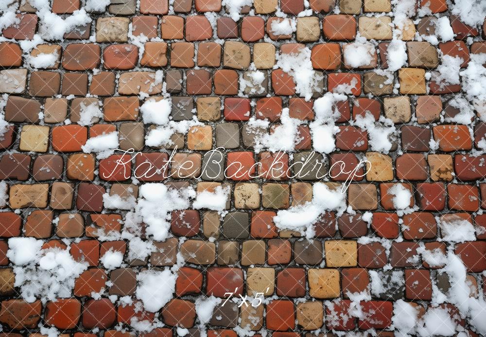 Kate Winter Stein Schnee Boden Hintergrund von Patty Roberts - Kate Backdrop.de