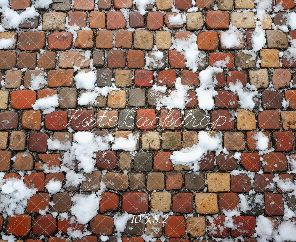 Kate Winter Stein Schnee Boden Hintergrund von Patty Roberts - Kate Backdrop.de
