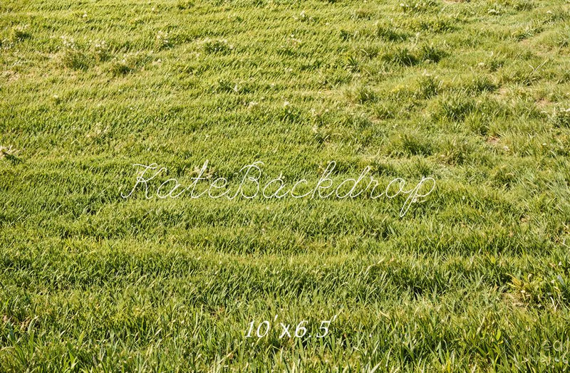 Kate Frühling Grünes Gras Feld Boden Hintergrund Entworfen von Emetselch - Kate Backdrop.de
