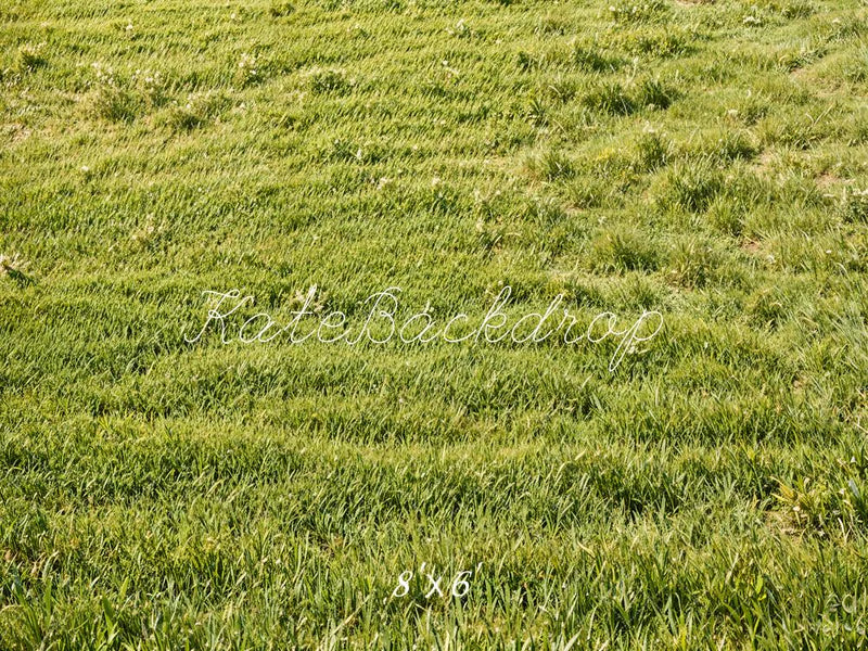 Kate Frühling Grünes Gras Feld Boden Hintergrund Entworfen von Emetselch - Kate Backdrop.de