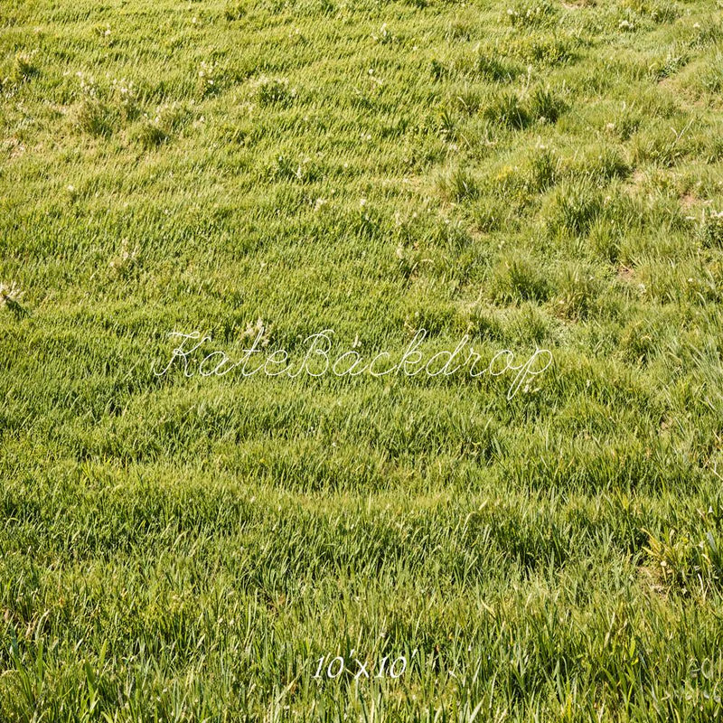 Kate Frühling Grünes Gras Feld Boden Hintergrund Entworfen von Emetselch - Kate Backdrop.de
