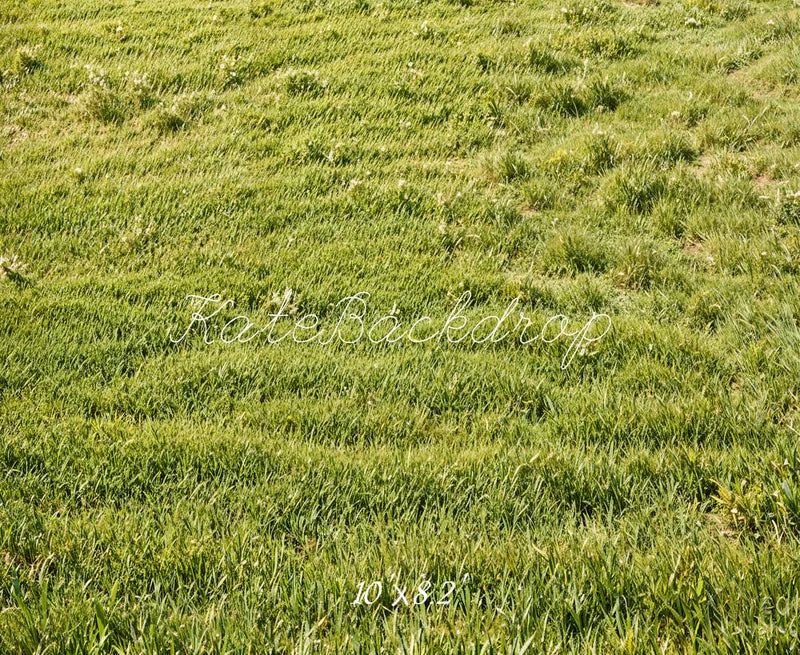 Kate Frühling Grünes Gras Feld Boden Hintergrund Entworfen von Emetselch - Kate Backdrop.de