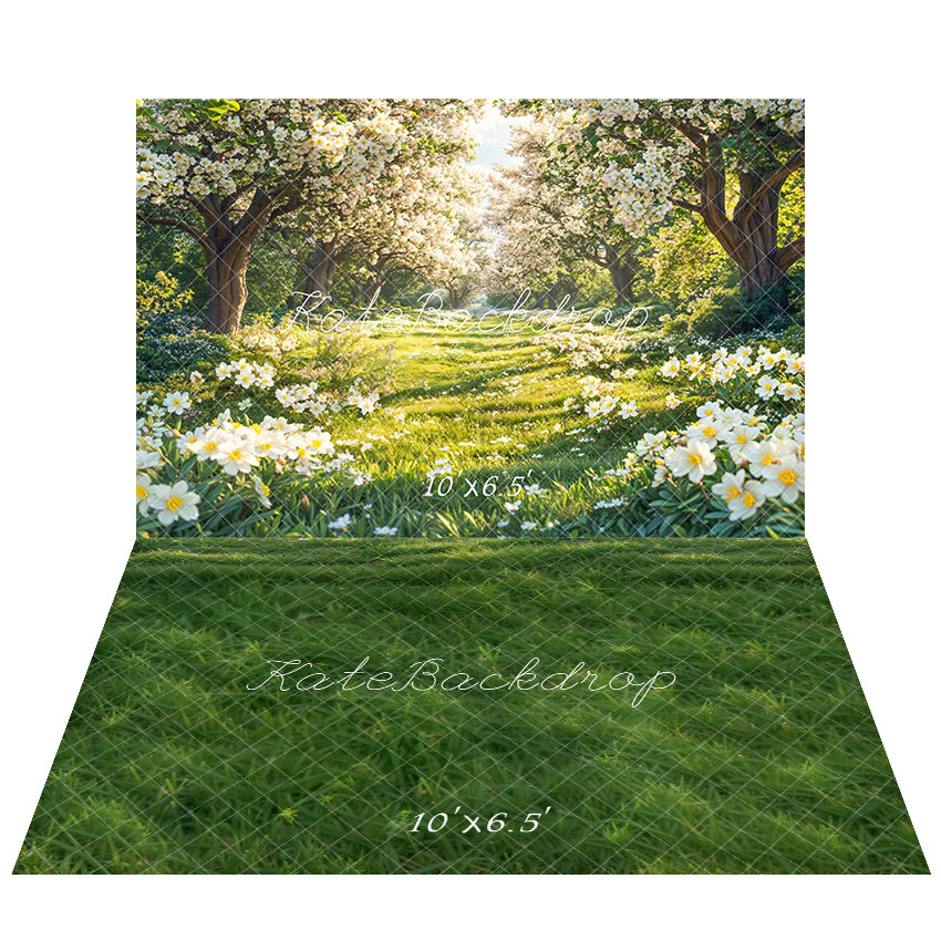 Kate Frühling Blüte Blumen Wald Hintergrund+Grüner Grasboden Hintergrund