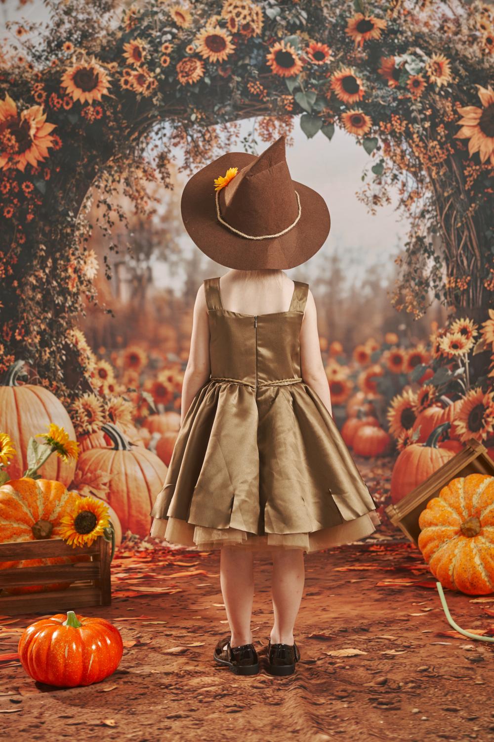 Kate Herbst Sonnenblume Kürbisbogen Hintergrund+Herbst Sonnenblumen Pfad Boden Hintergrund - Kate Backdrop.de