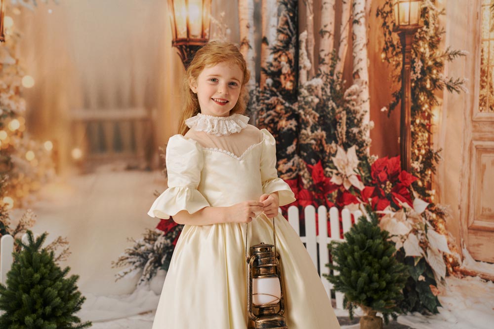 ⚡Blitzangebote-Kate Weihnachts-Türgirlande Weihnachtsstern Raum Hintergrund-Set - Kate Backdrop.de