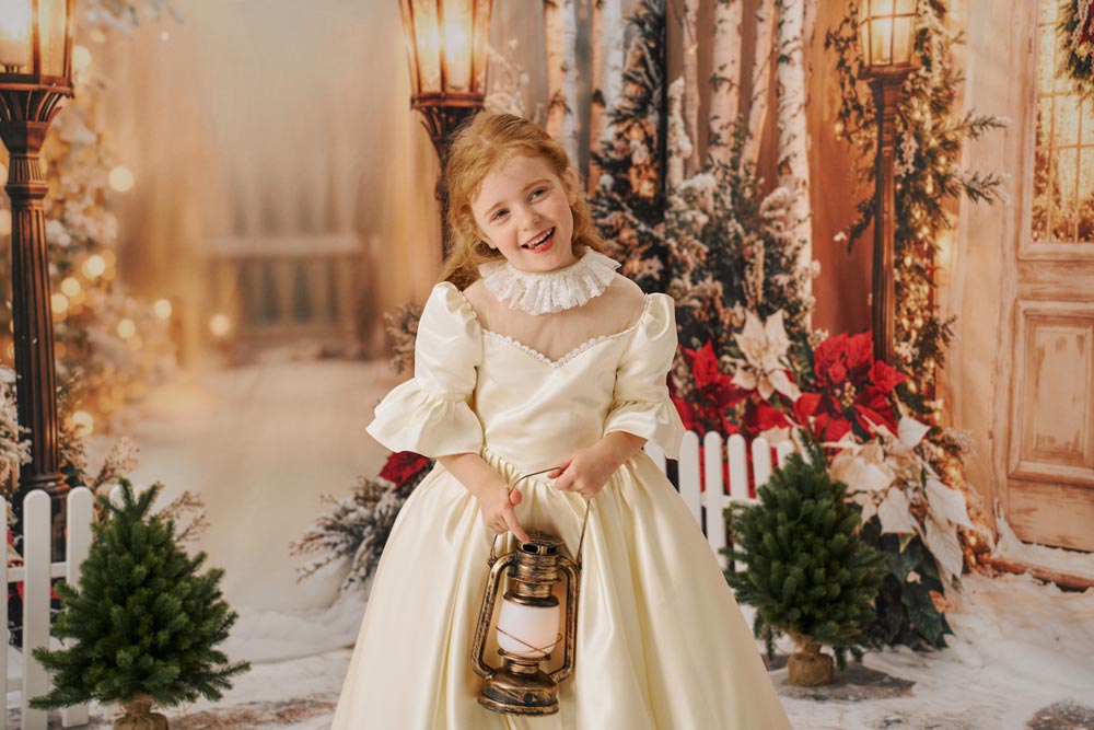 ⚡Blitzangebote-Kate Weihnachts-Türgirlande Weihnachtsstern Raum Hintergrund-Set - Kate Backdrop.de