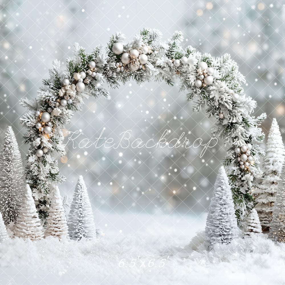 ⚡Blitzangebote #1-Kate Winter- Weihnachten- verschneites Wunderland Bogen Hintergrund - Kate Backdrop.de