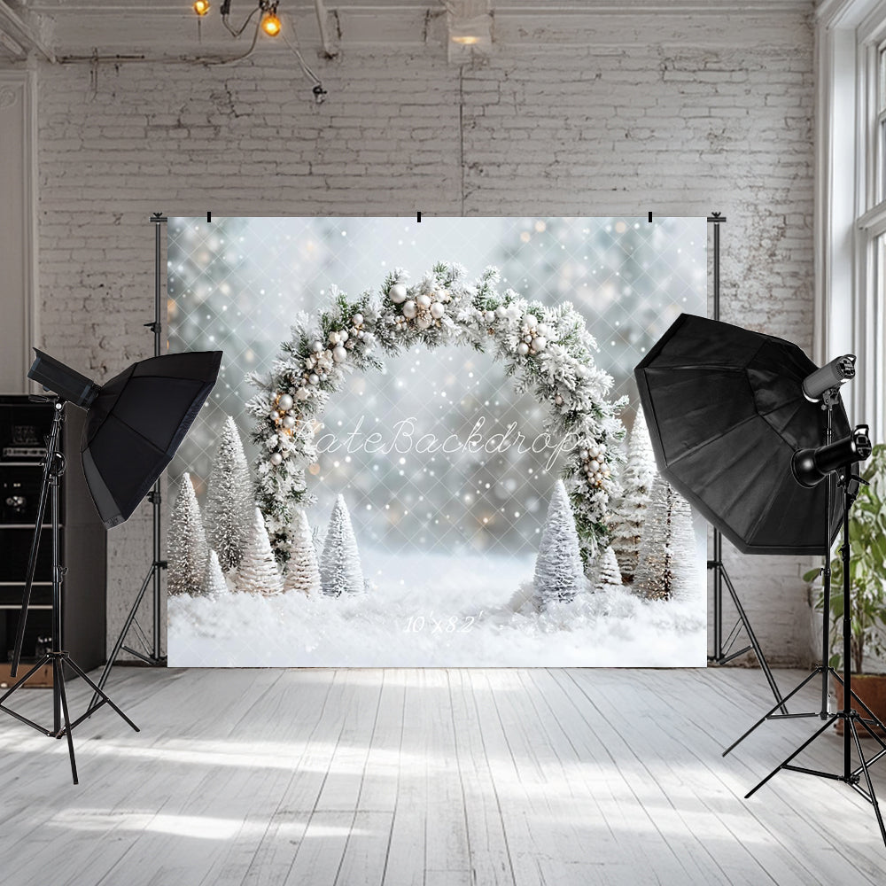 Kate Winter- Weihnachten- verschneites Wunderland Bogen Hintergrund entworfen von Emetselch - Kate Backdrop.de