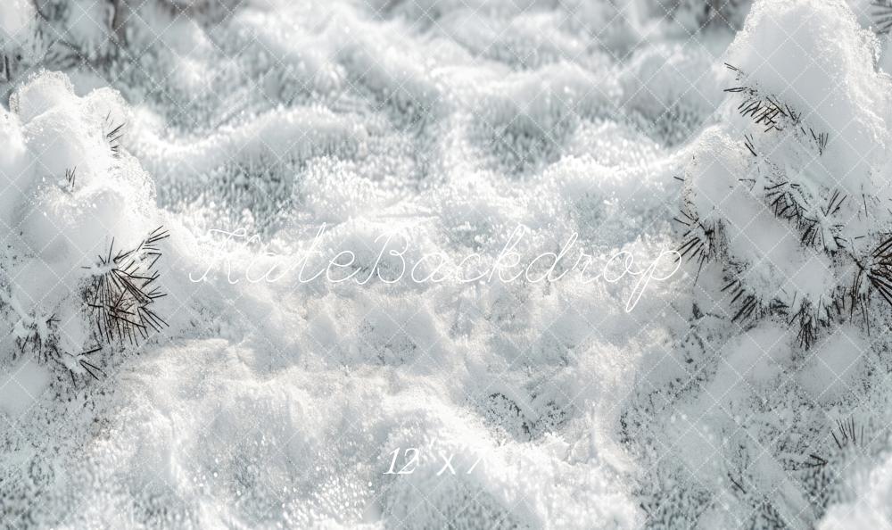 Kate Winterschnee Vinyl Hintergrund Boden