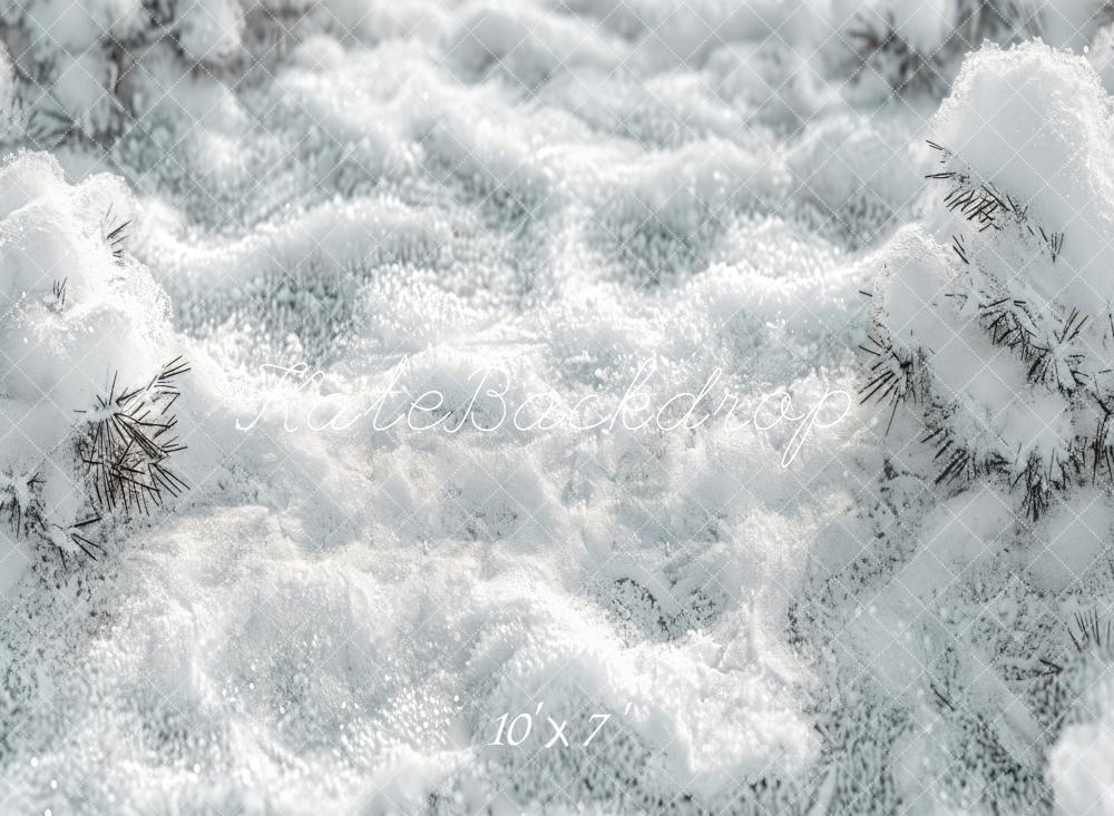 Kate Winterschnee Vinyl Hintergrund Boden