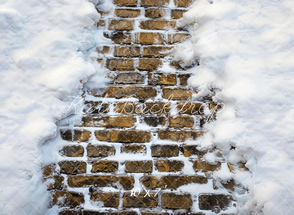 Kate Retro-Ziegelmauer im Schnee Vinyl Hintergrund Boden