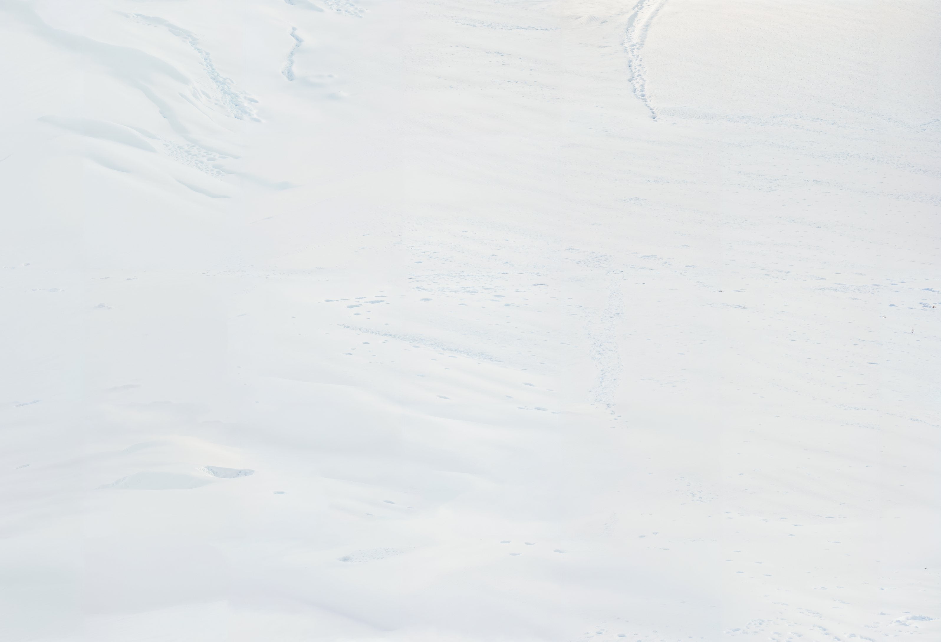 Kate Winter Schnee Textur Weiß Boden Vinyl Hintergrund - Kate Backdrop.de