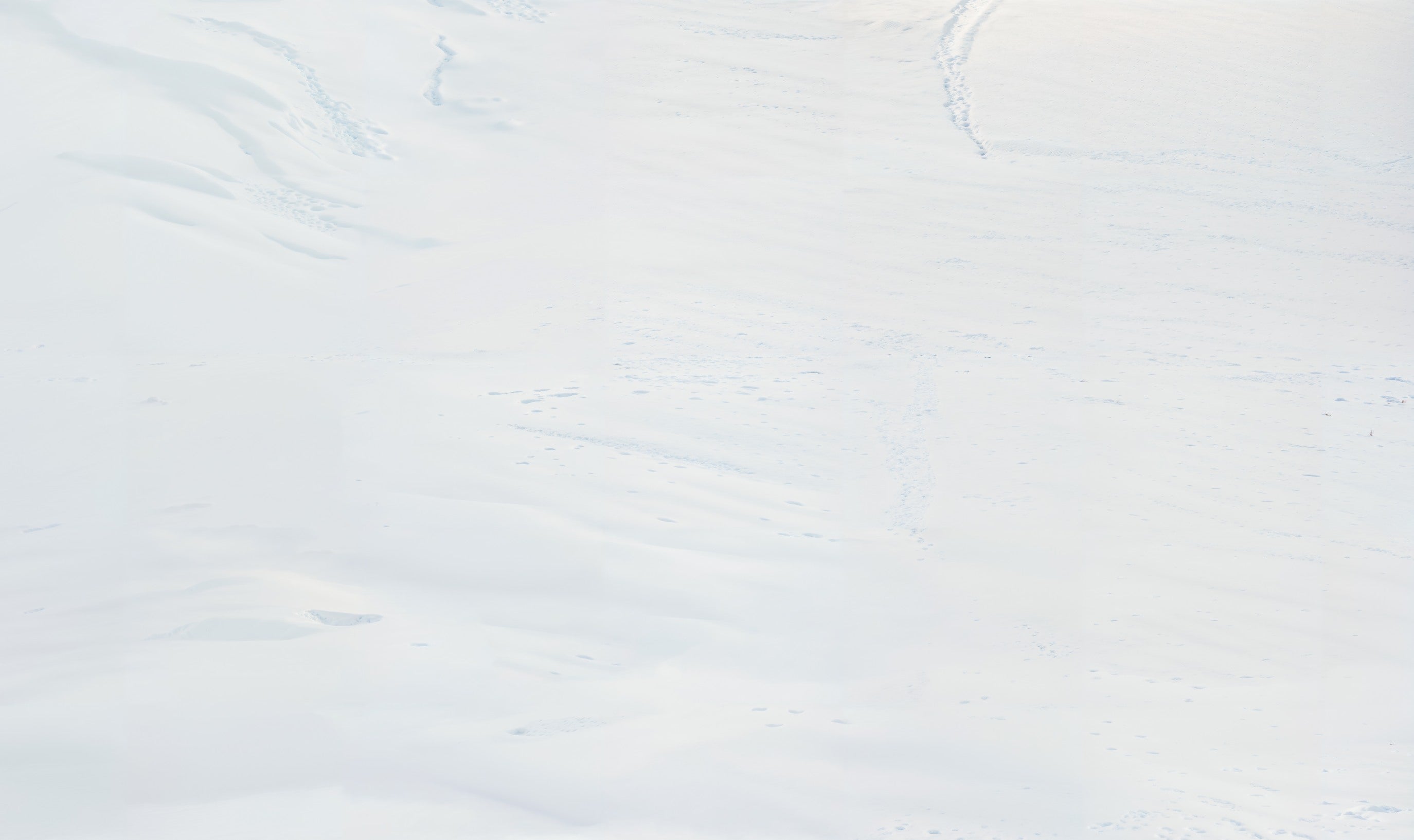 Kate Winter Schnee Textur Weiß Boden Vinyl Hintergrund - Kate Backdrop.de