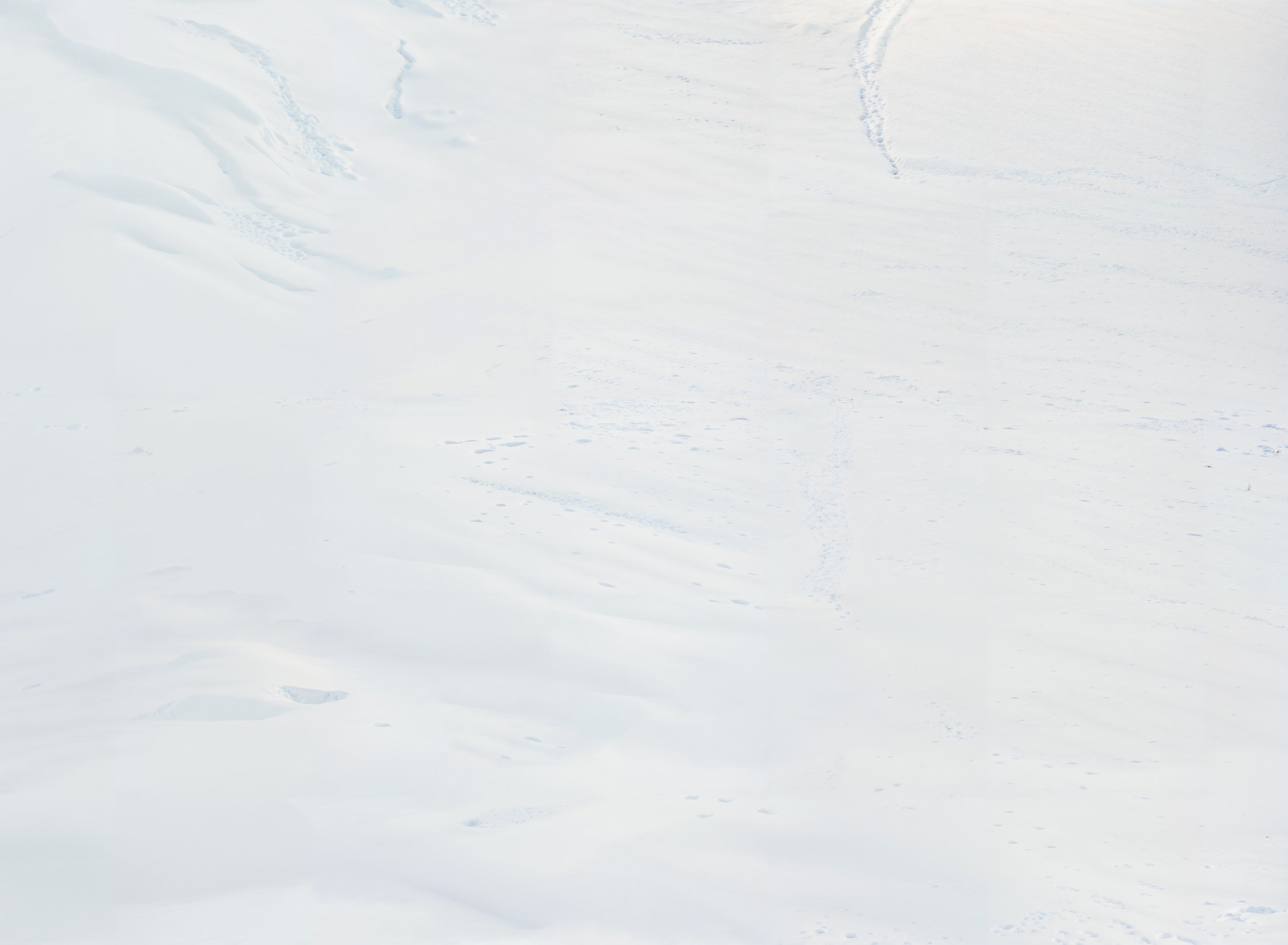 Kate Winter Schnee Textur Weiß Boden Vinyl Hintergrund - Kate Backdrop.de