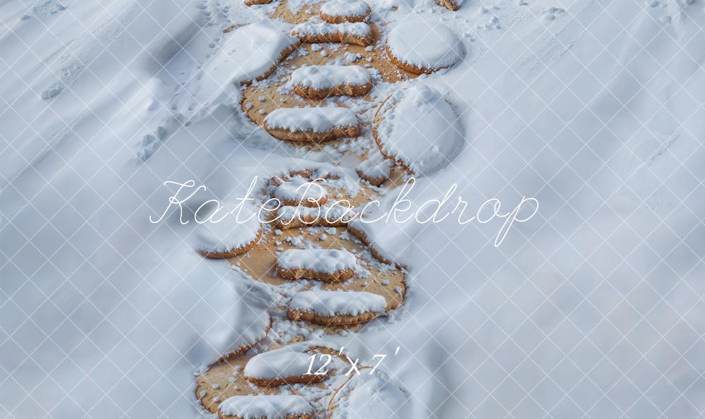 Kate Winter Steinweg Schnee Weiß Vinyl Hintergrund Boden