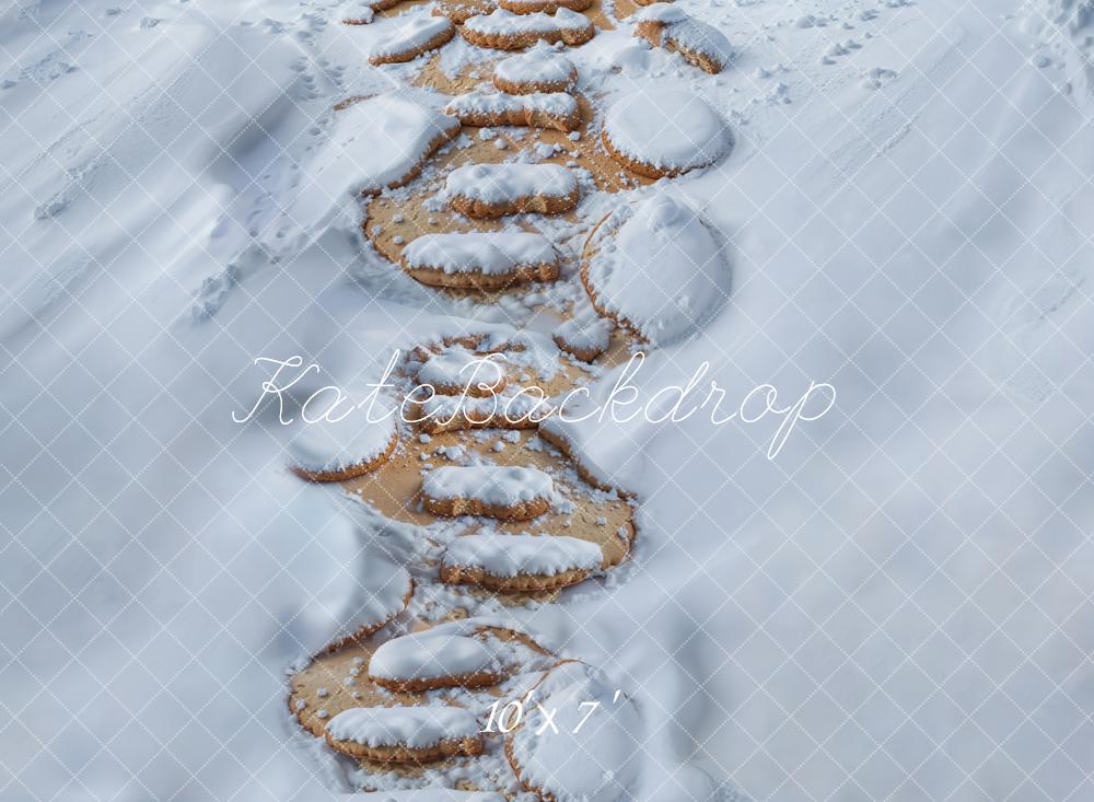 Kate Winter Steinweg Schnee Weiß Vinyl Hintergrund Boden