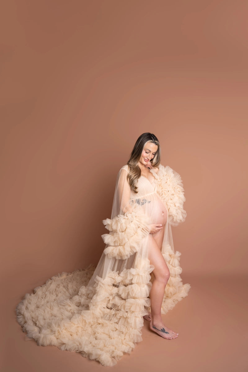 Kate Mesh V-Ausschnitt Schleppe-Mittellangarm Fotoshooting-Kleid für Schwangerschaft - Kate Backdrop.de