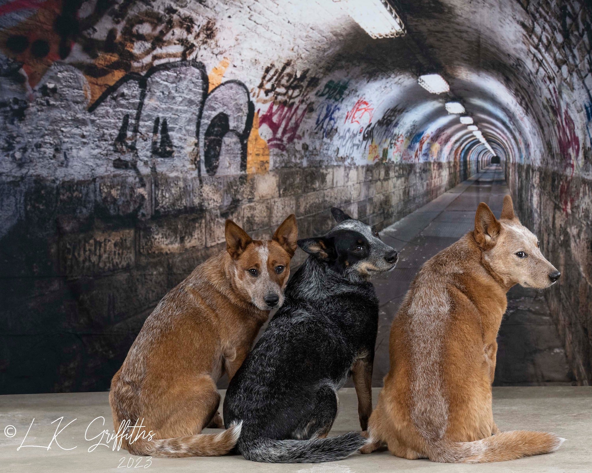 Kate Graffiti Wand Tunnel Gebäude Hintergrund für Fotografie - Kate Backdrop.de